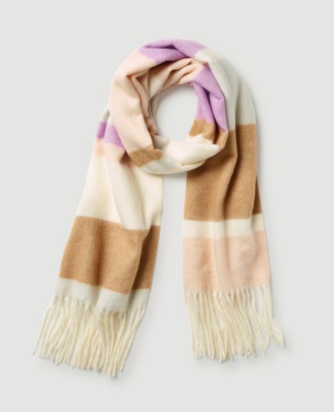 Image of Ann Taylor Factory Colorblocked Scarf