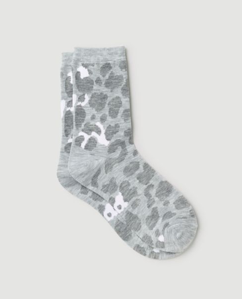 Image of Ann Taylor Factory Cheetah Print Crew Socks