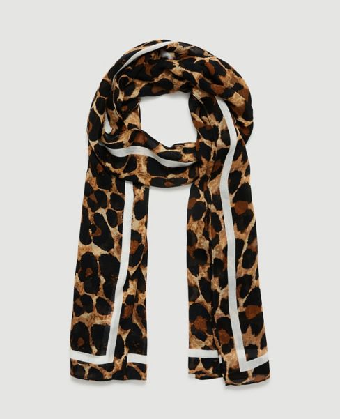 Image of Ann Taylor Factory Leopard Print Scarf