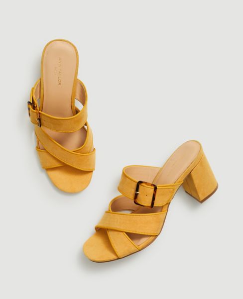 flat mules with buckle