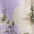 Pastel Lilac