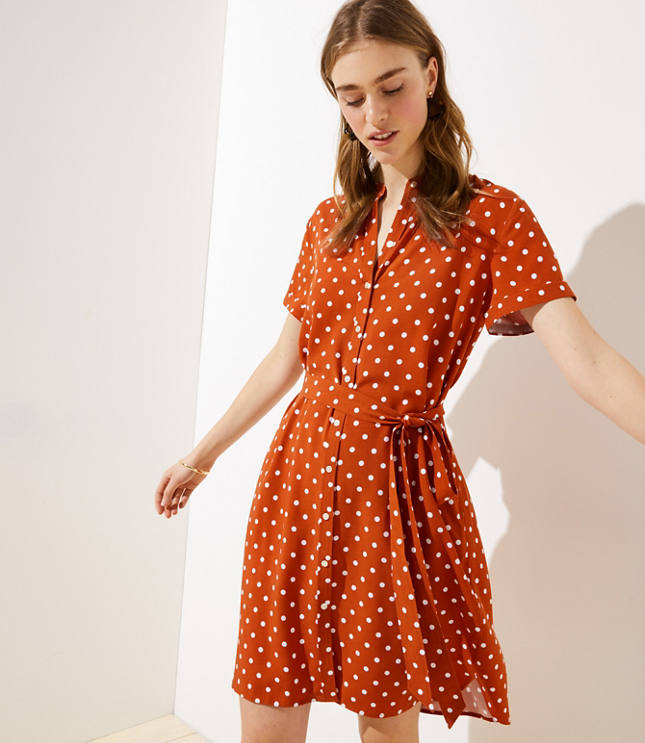 the loft polka dot dress