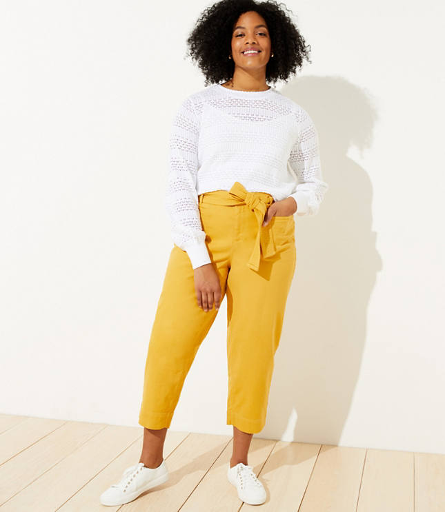 ann taylor loft plus size in stores