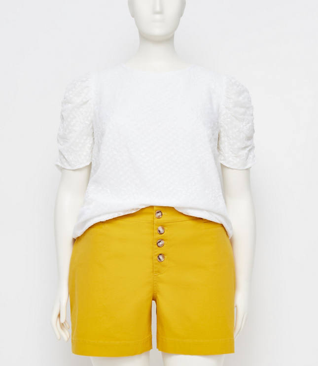 loft plus shorts