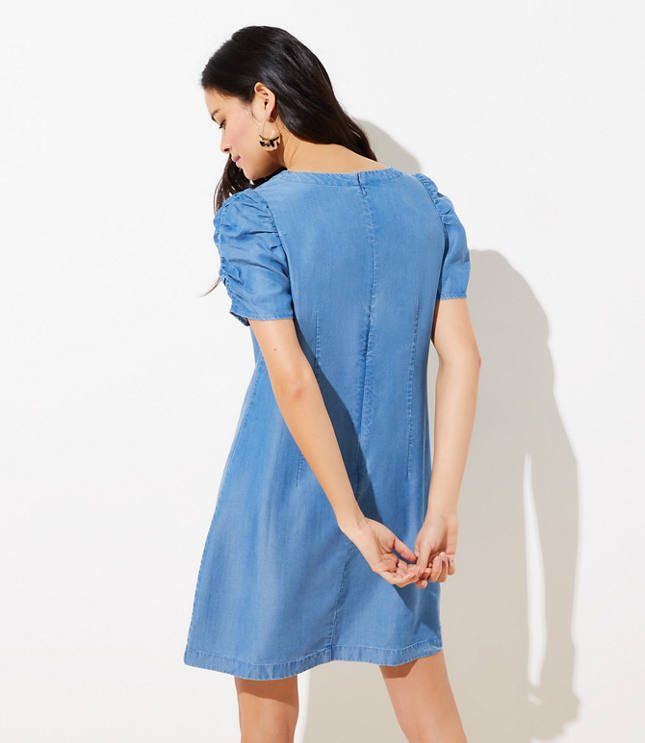 petite chambray dress