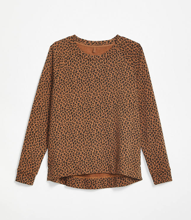 Loft cheetah sweater hotsell