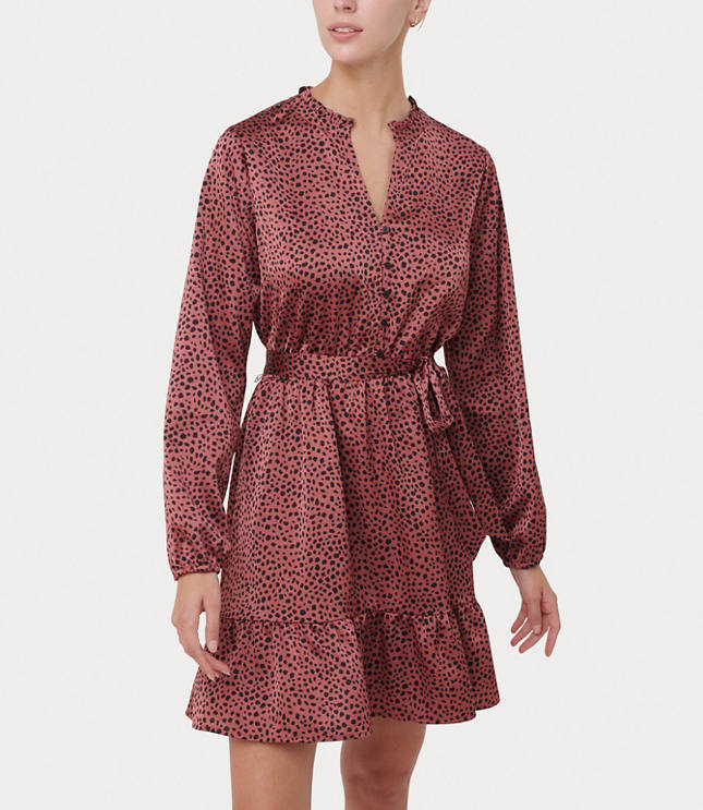 animal print long sleeve shirt dress