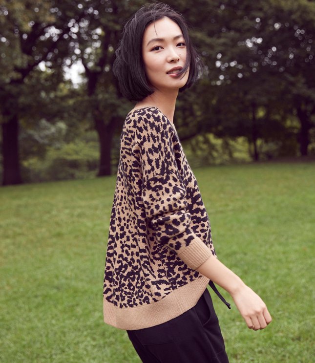 loft leopard sweater dress