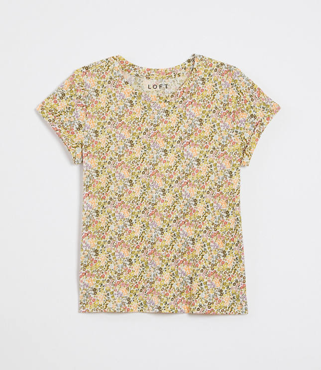 the loft clothing plus size