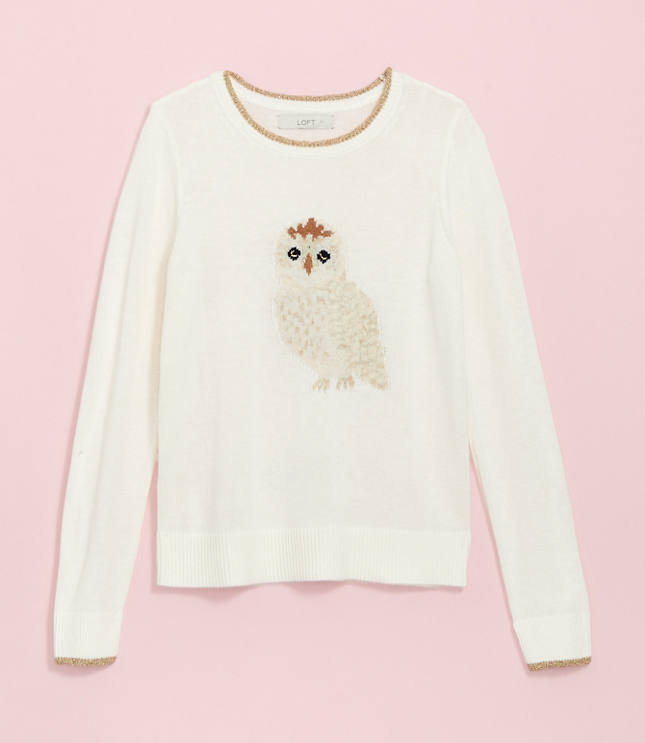 owl sweater