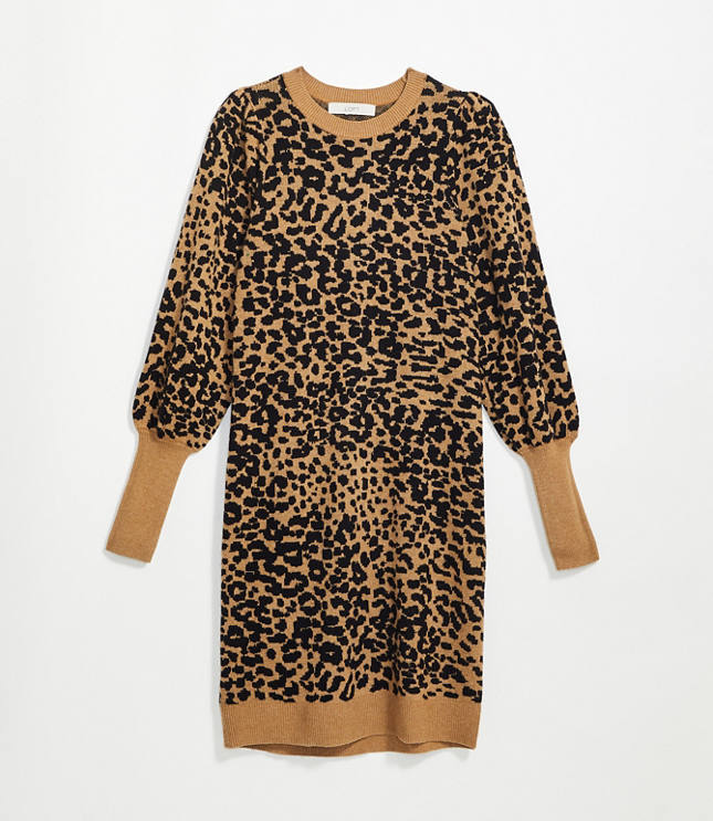 ann taylor loft plus size dresses