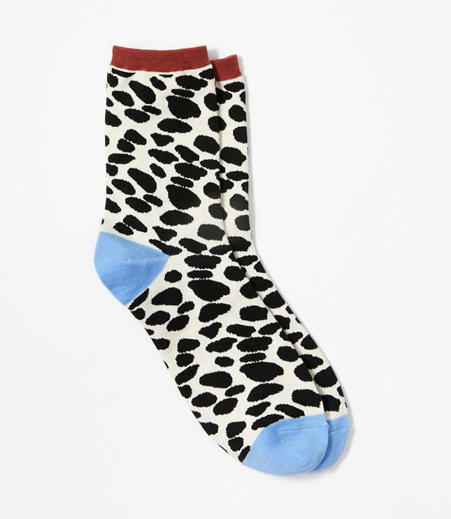 Socks for Women LOFT