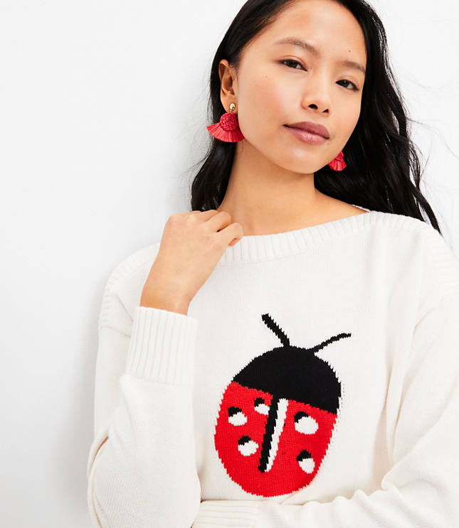 Sassy ladybug sale jumper