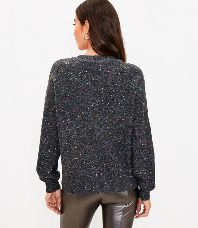 Petite Rainbow Sequin Sweater