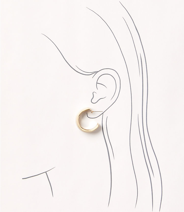 Crackled Mother Of Pearl Hoop Earrings image number null