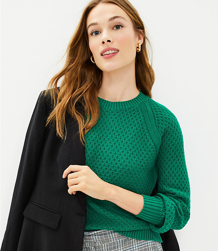 Petite Textured Raglan Sweater