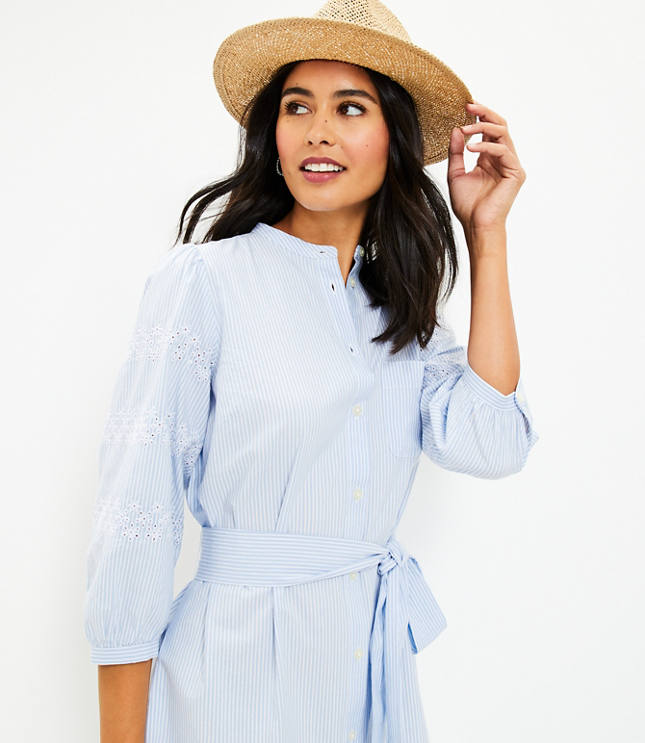 Petite Stripe Embroidered Pocket Shirtdress