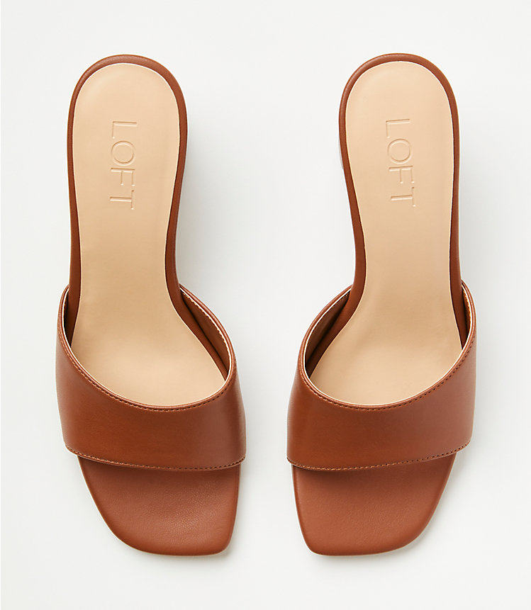 Modern Mules image number 2