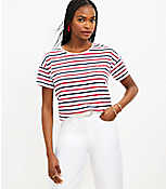 Petite Star Embroidered Stripe Relaxed Crew Tee carousel Product Image 1