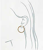 Modern Hoop Earring Set carousel Product Image 2