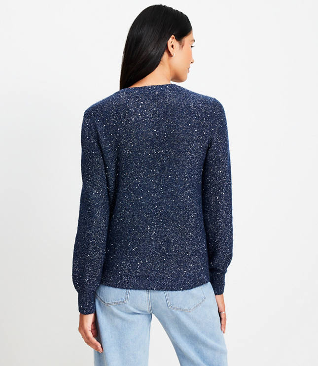 Petite Sequin Shimmer Sweater