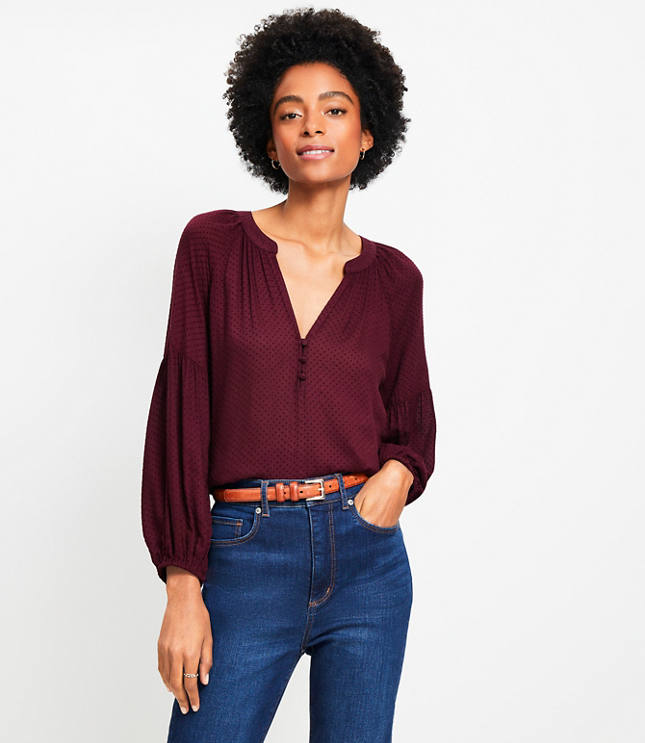 Velvet Dot Billow Sleeve Blouse