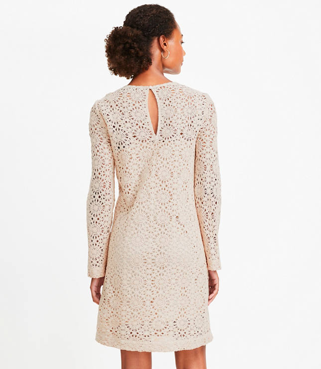 Loft Crochet Mini Dress | The Shops at Willow Bend
