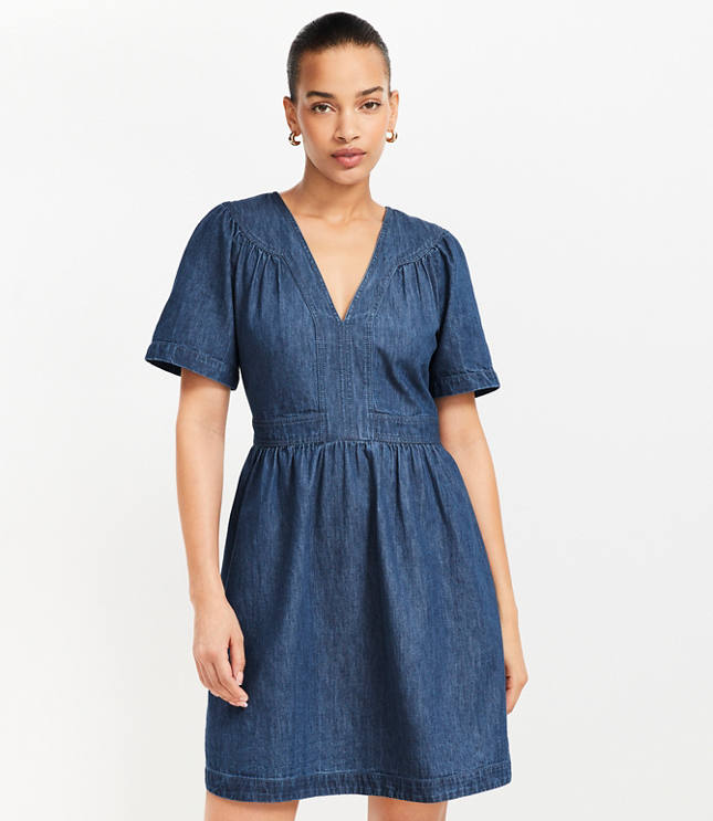 Petite Chambray Split Neck Mini Dress