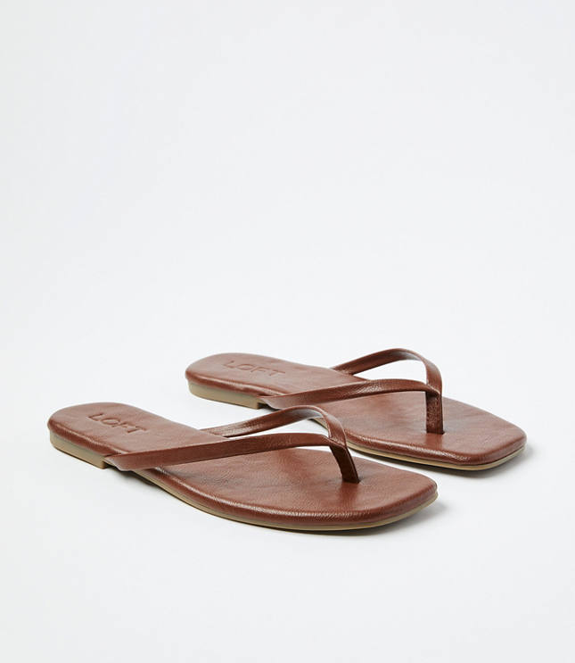 752513_4305?$315x363$