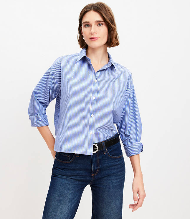 Sparkle Striped Poplin Modern Shirt