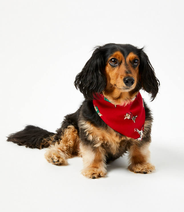 Holiday Dog Bandana