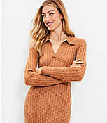 Ribbed Midi Polo Sweater Dress carousel Product Image 2