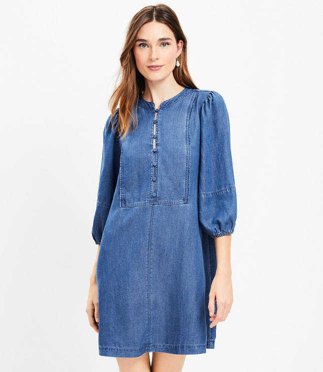 Chambray Balloon Sleeve Swing Dress