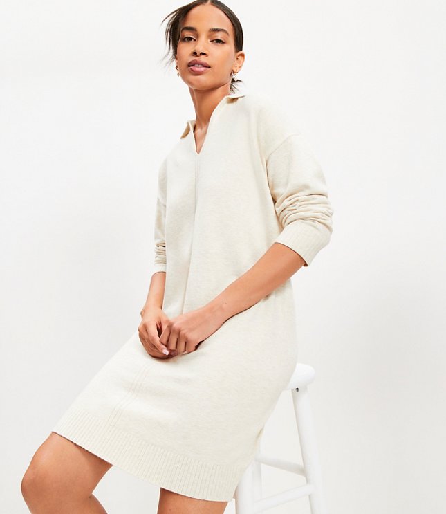 Petite Rib Trim Collared Mini Sweater Dress