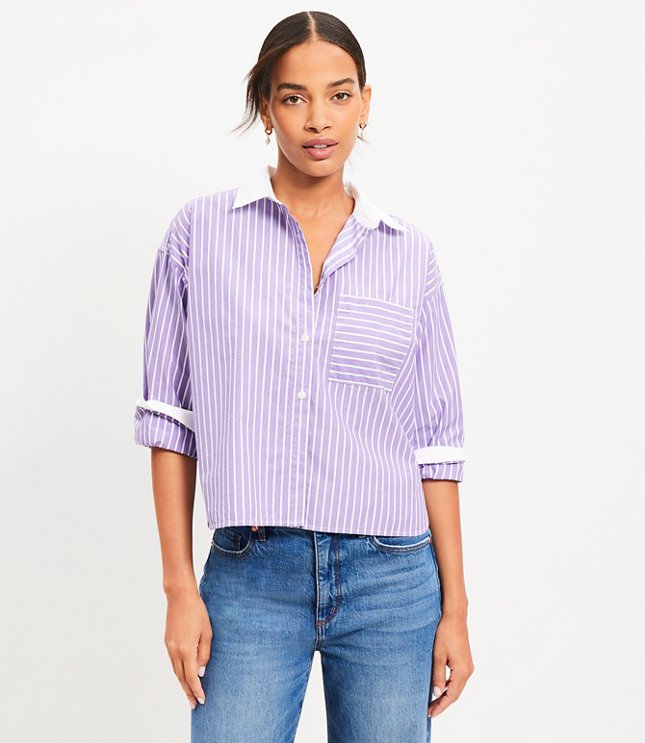 Striped Poplin Belted Pocket Shirtdress