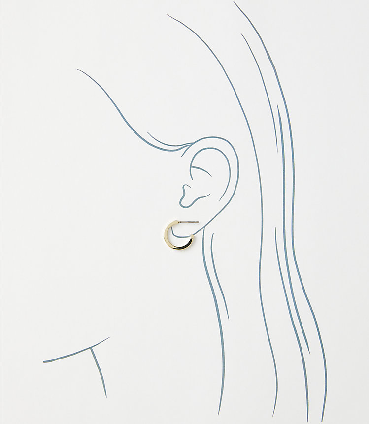 Metallic Stud Earring Set image number null
