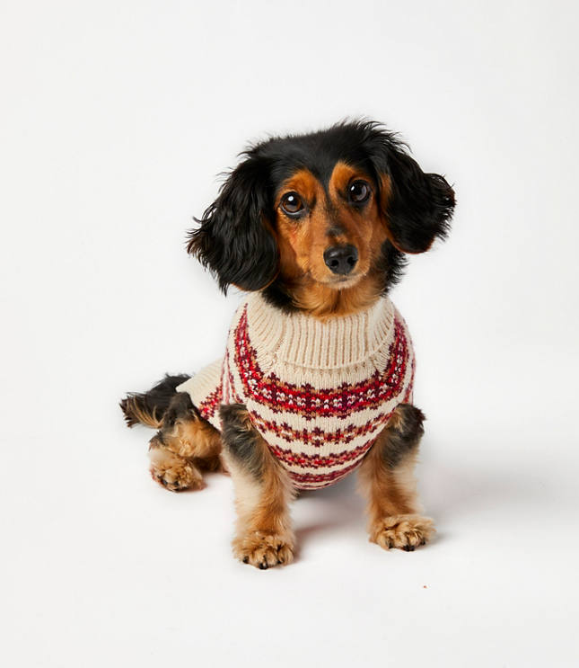 Loft pug outlet sweater