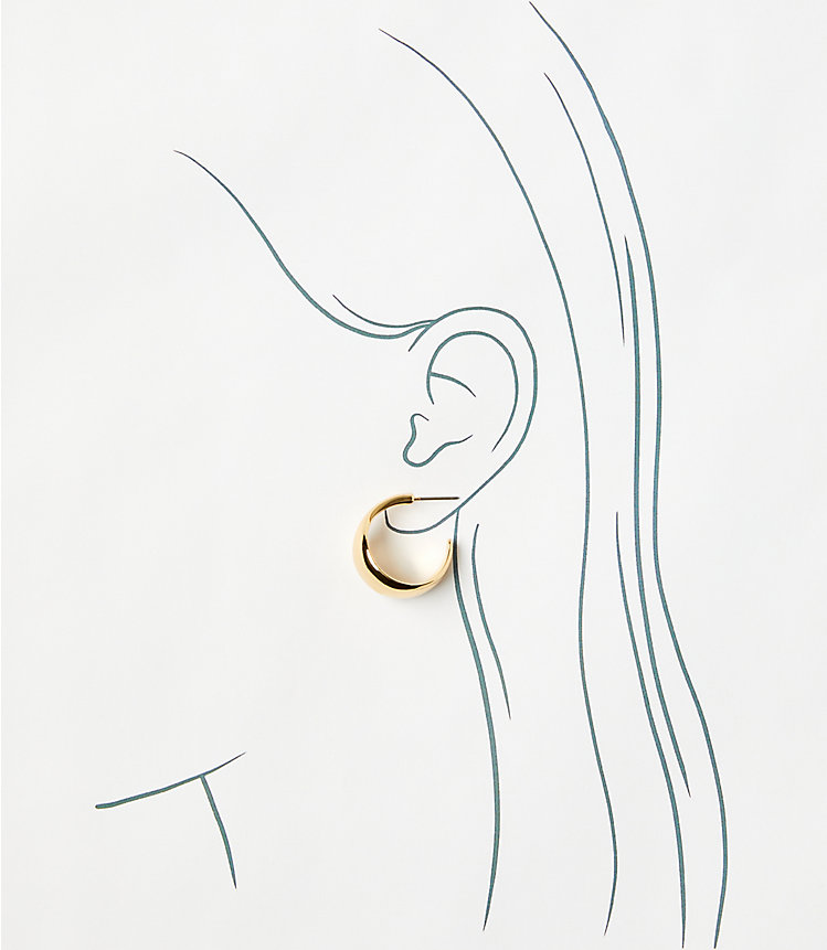 Sculptural Hoop Earrings image number null