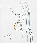 Everyday Metallic Hoop Earrings carousel Product Image 2