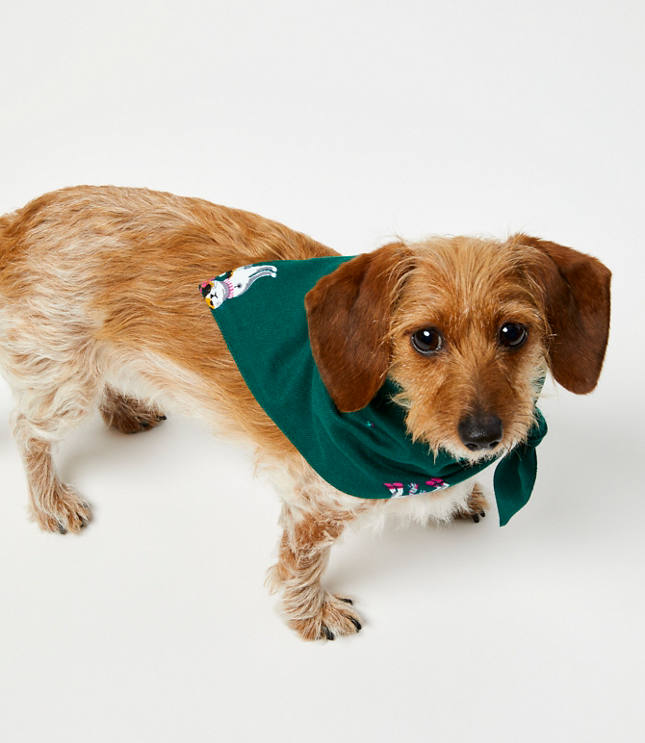 Holiday Cat Dog Bandana