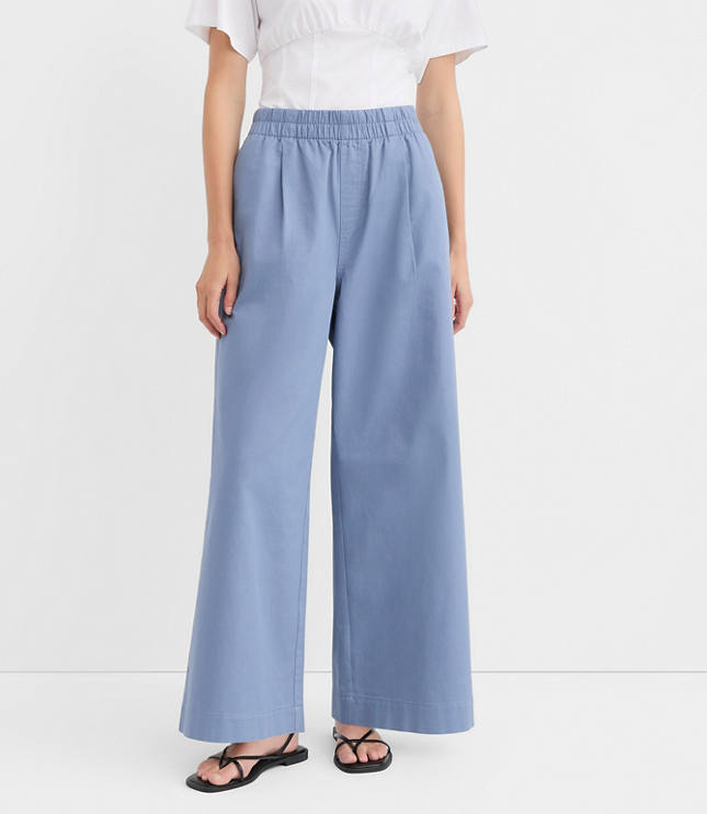 Pleated Pull On Wide Leg Pants in Twill