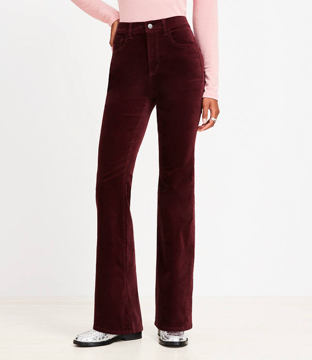 Petite Five Pocket Slim Flare Pants in Velvet