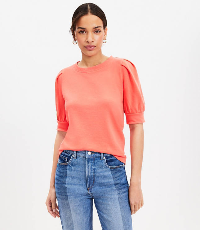 LOFT Plus Curved Hem Sweatshirt