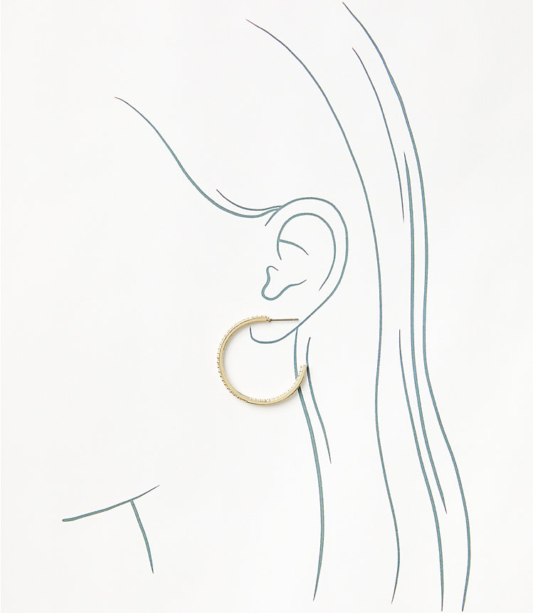 Crystal Hoop Earrings image number null