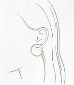Crystal Hoop Earrings carousel Product Image 2