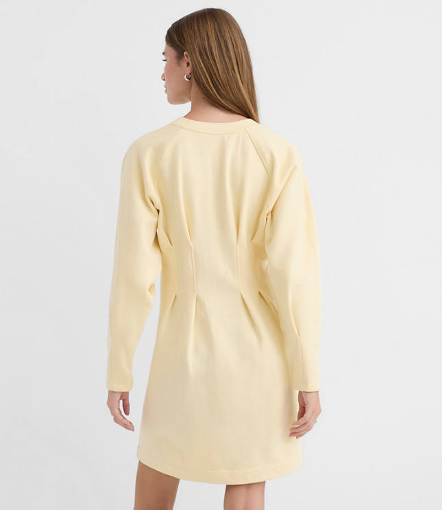 Petite Pleated Terry Mini Dress