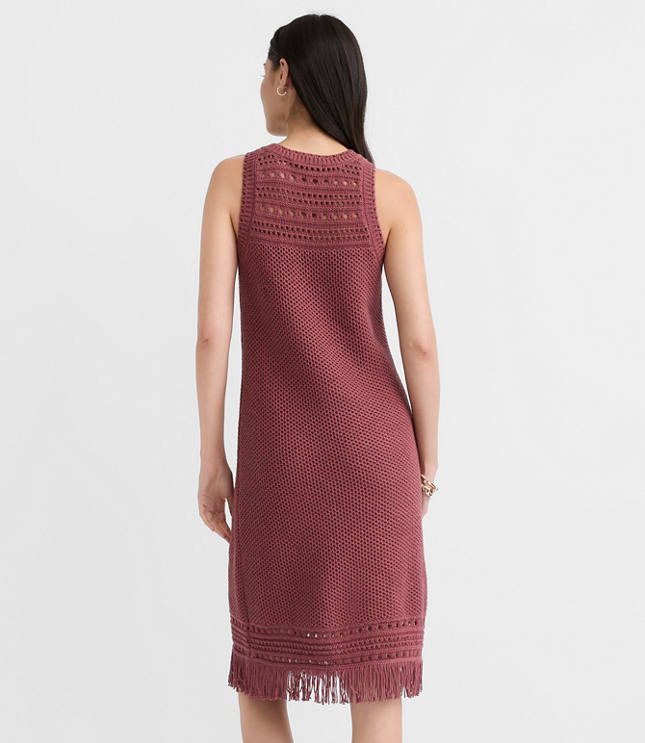 Petite Fringe Pointelle Mini Sweater Dress