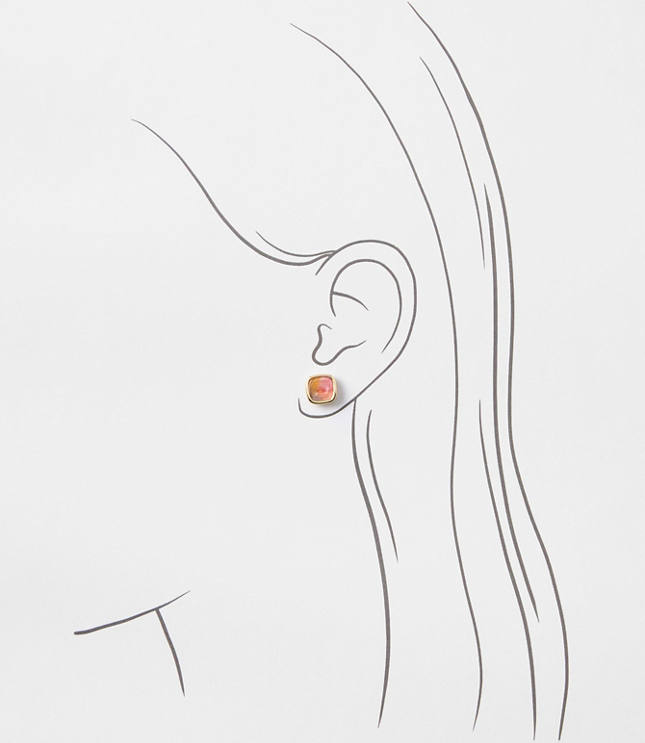 Multicolored Tortoiseshell Print Stud Earring Set