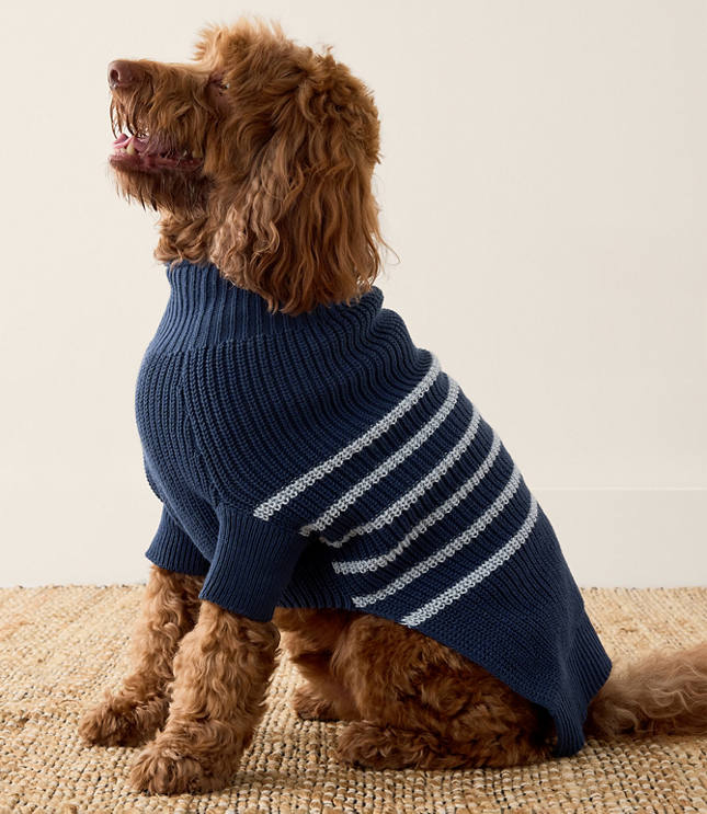 Haven Well Within Organic Cotton Striped Dog Sweater