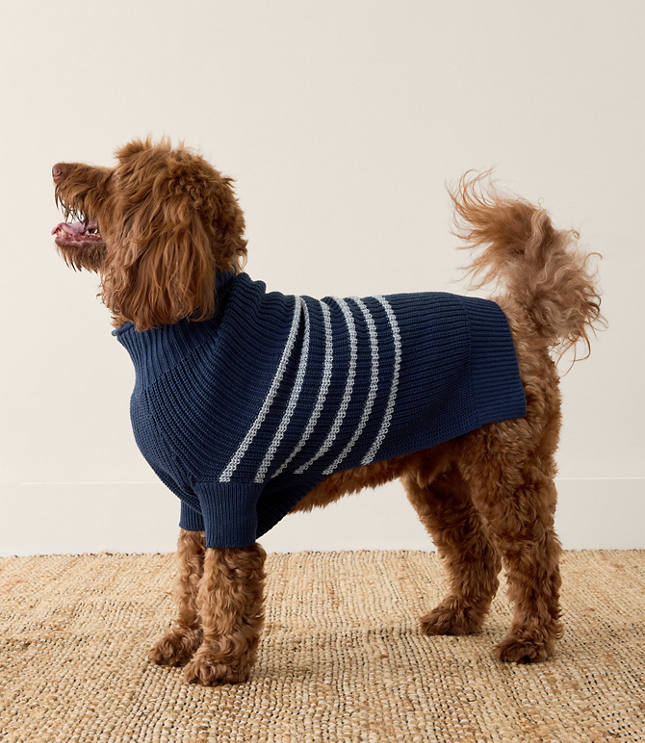 Haven Well Within Organic Cotton Striped Dog Sweater